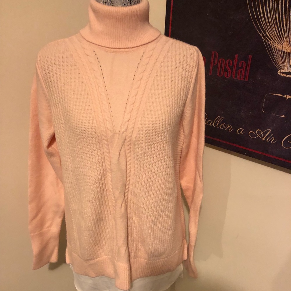 Tommy Hilfiger Turtle Neck  🐢 Sweatshirt